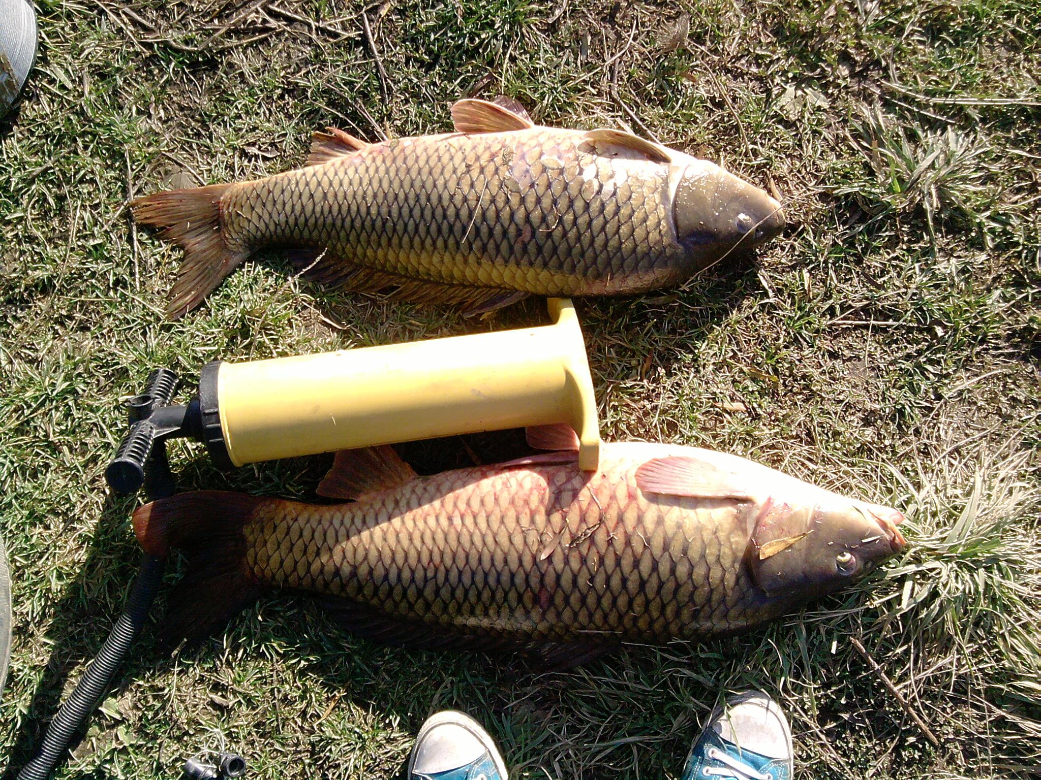 fishing - P071112_11.44.jpg